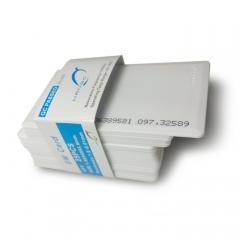 Mango Clelamhell kartı